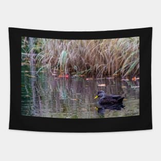 Duck at Heart Shaped Pond Tapestry