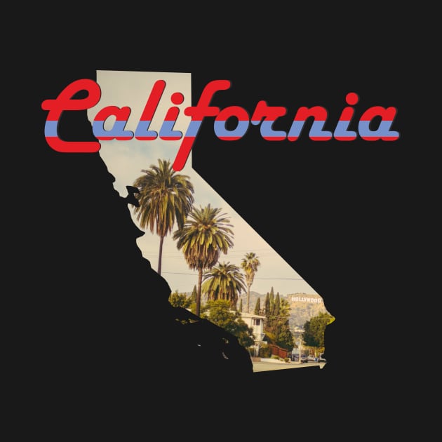 California State Map Outline by NorseTech