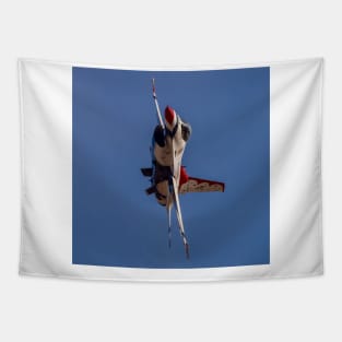 Thunderbird F-16C Fly-By Tapestry