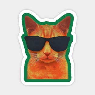 Orange Cat Magnet