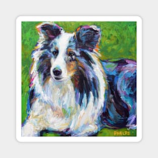 Colorful SHELTIE Magnet