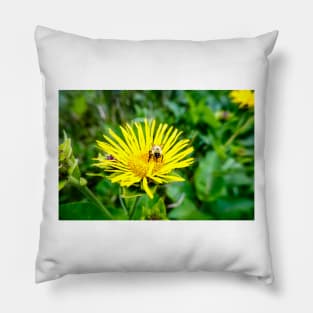 Bee On Elecampane Flower 1 Pillow