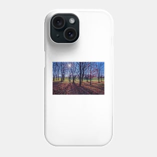 Fall At The Arboretum Phone Case