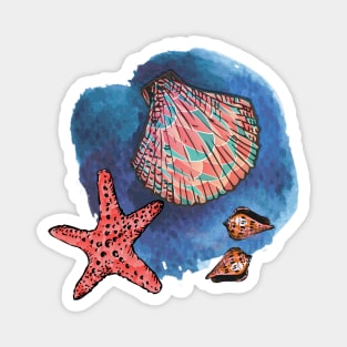 Seashells and starfish Magnet