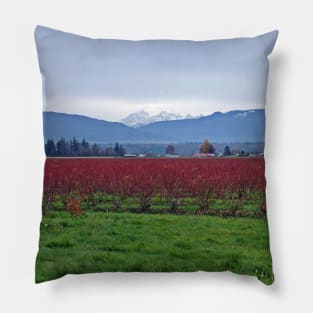 Winter Baker Pillow