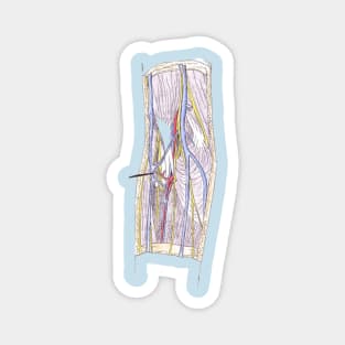 Medical surgery set Magnet