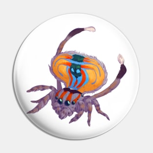 Peacock spider Pin