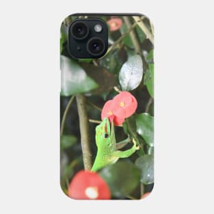 Madagascar, day gecko Phone Case