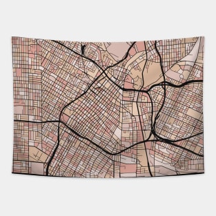 Los Angeles Map Pattern in Soft Pink Pastels Tapestry