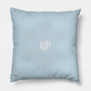 SpaceX Starship Orbital Test Flight Pillow