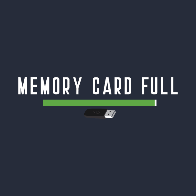 Memory Card Full by LovableDuck