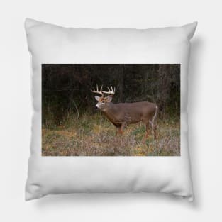 On the hunt - White-tailed deer Buck Pillow