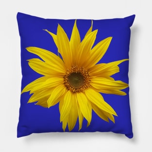 Sunflower - fall flower photograph Pillow