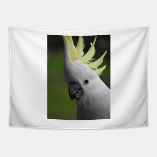 Sulphur Crested Cockatoo Tapestry