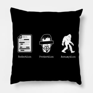 Responsible Censorship Pillow