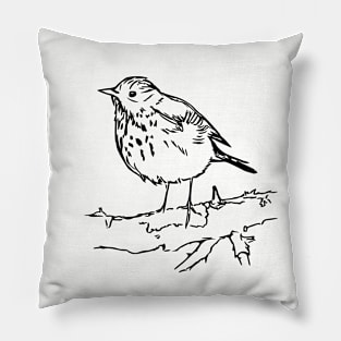 Hermit Thrush Drawing Forest Bird Pillow