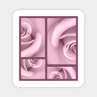 Pink Rose and Purple lines design Magnet