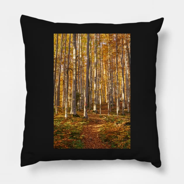 Deciduous forest with big trees Pillow by naturalis