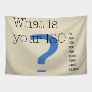 What is your ISO? Tapestry