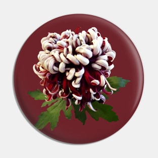 Chrysanthemums - Chrysanthemum Lili Gallon Pin