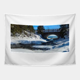 Wintertime Beauty Of Cascade River State Park Tapestry