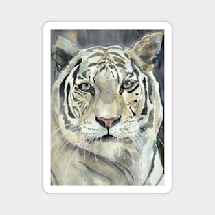 White tiger Magnet