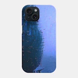 My Degenerated Sphere Phone Case