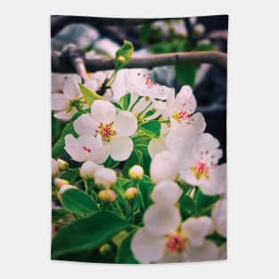 Spring blossoms Tapestry