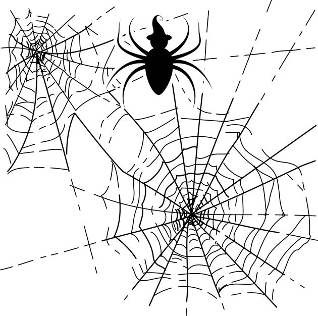 Halloween Spider Web Kids T-Shirt by Xeire