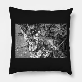 Pansies growing in an English country garden Pillow