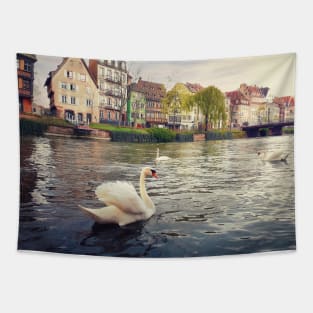 magnificent swans Tapestry