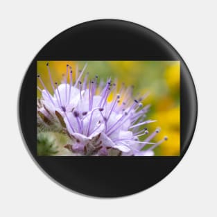 Lacy Phacelia Flower Pin