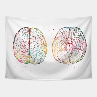 Human brain scheme Tapestry