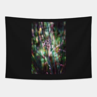 Grass Seeds Tapestry