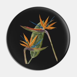 Bird of Paradise flowers Pin