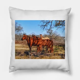 Wild Horses Pillow