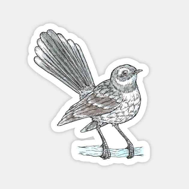 Grey Fantail Magnet by bangart