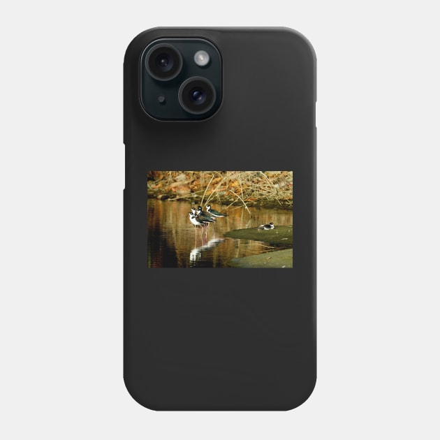 Oiseaux aux repos en bord de l'eau Phone Case by franck380