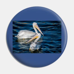 Pair of American White Pelicans Pin