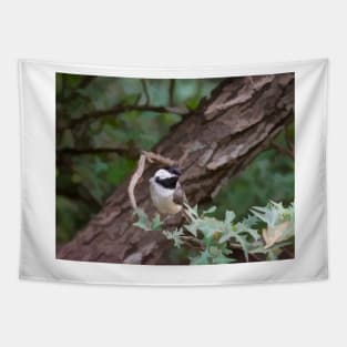 Carolina Chickadee On Photo Painted Trees Tapestry