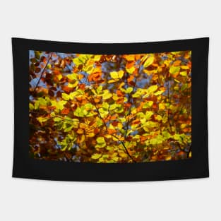 Brightly colored autumn leaves on a beech tree Tapestry