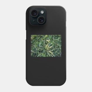 Kiwakiwa fern. Phone Case