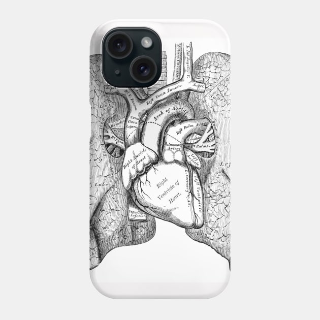 Antique Anatomy Papers Neck Gator Lungs Respiratory System Anatomy Phone Case by DANPUBLIC