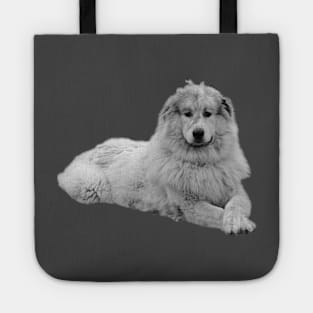 Pyrenees mountain dog Tote