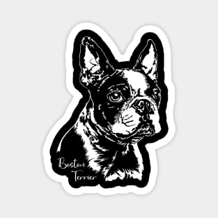 Boston Terrier Portrait dog lover gift Magnet