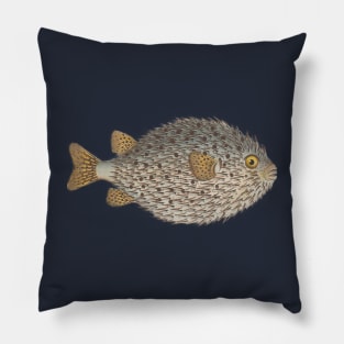 Pufferfish Vintage Fish Marine Biology Natural History Scientific Illustration Pillow