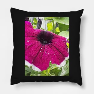 Floral Photograph 2 Pillow