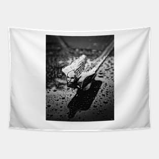 Cadillac Flying Lady Hood Ornament Tapestry