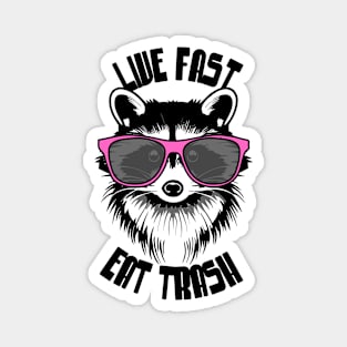 Live Fast Eat Trash | Cute Racoon Magnet