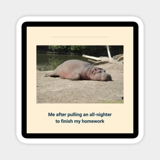 Homework Magnet